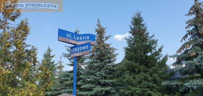 Działka Sprzedaż Dąbrówka